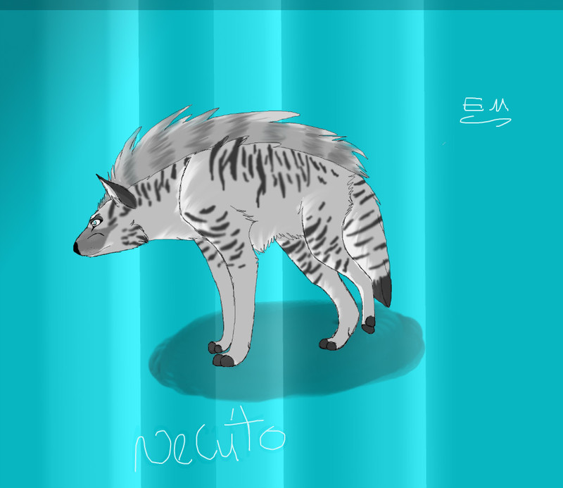 necuto