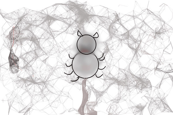 spider