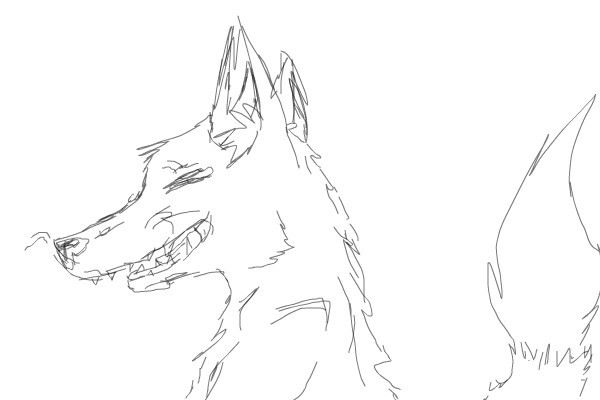 wolf