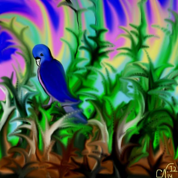 bird-of-paradise