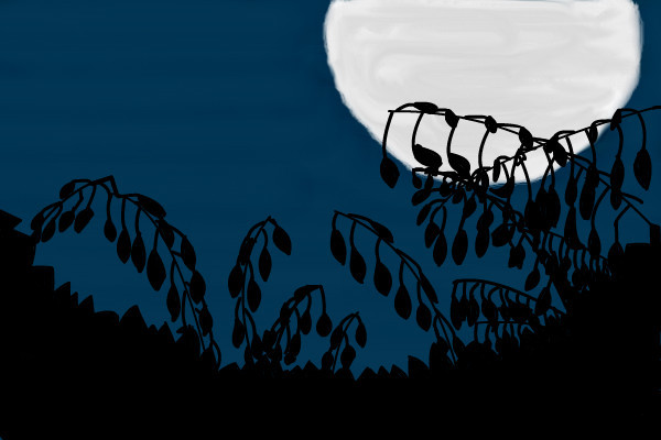 tree-silhouette
