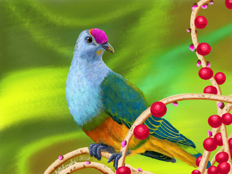 colorful-bird-and-berr