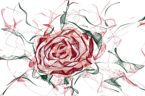 rose
