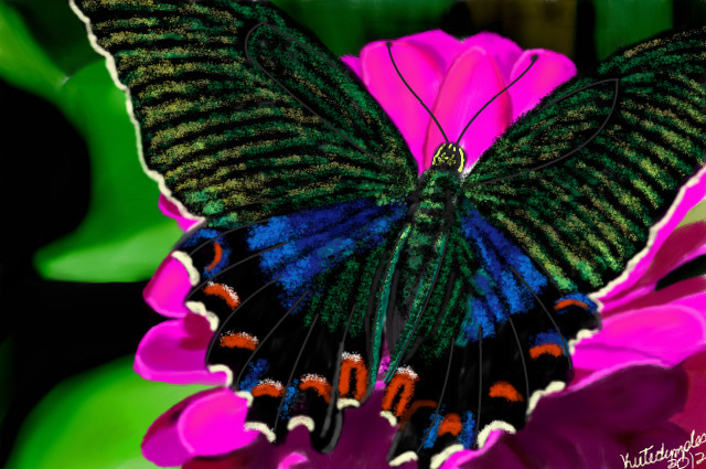 irridescent-butterfly