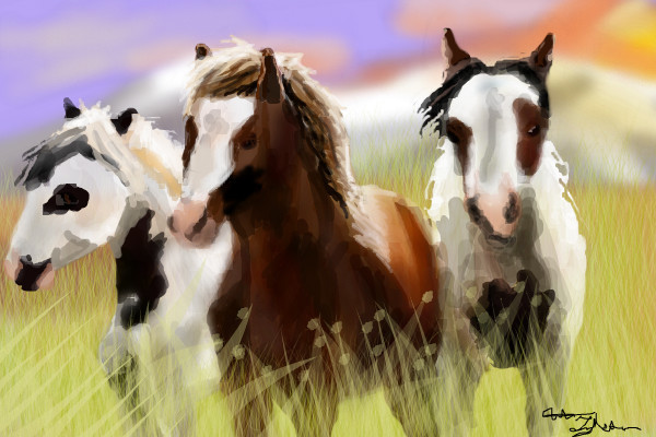 horses