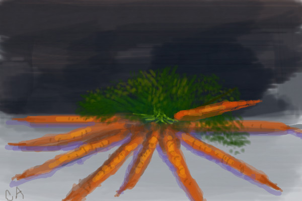 carrots