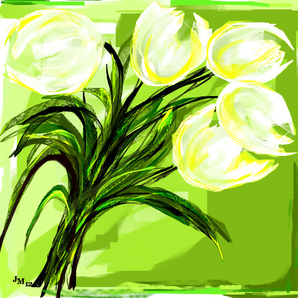 five-white-tulips