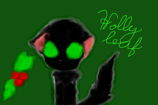hollyleaf-do-not-look-