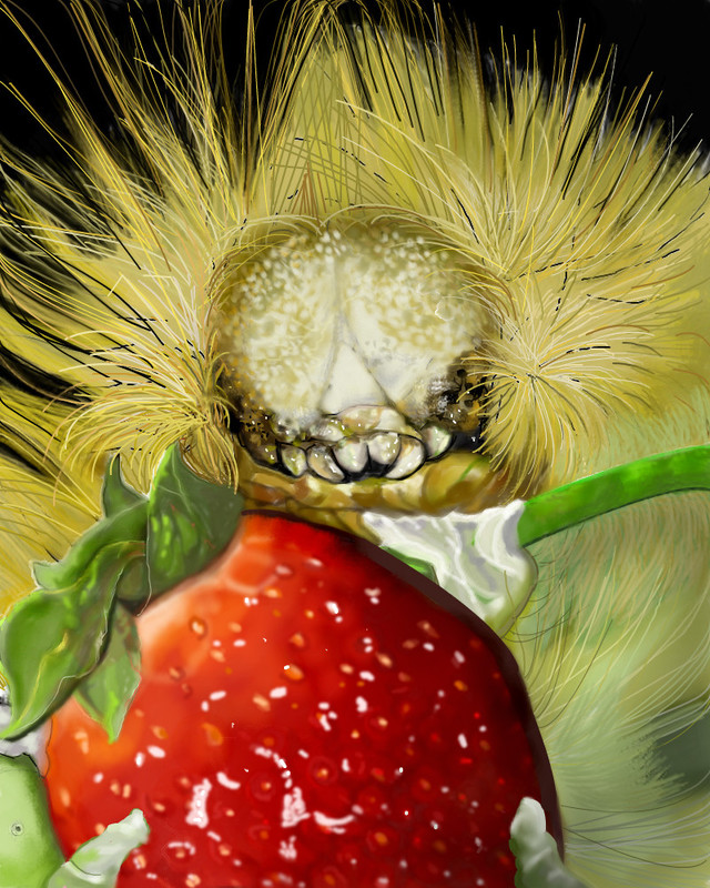 caterpillar