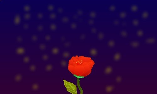 night-rose