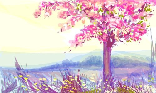 cherryblossom