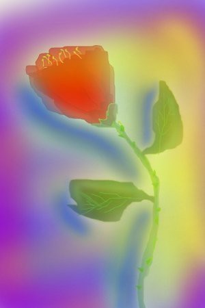 rose-in-weird-ligh