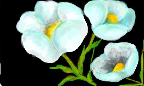 blue-flowers