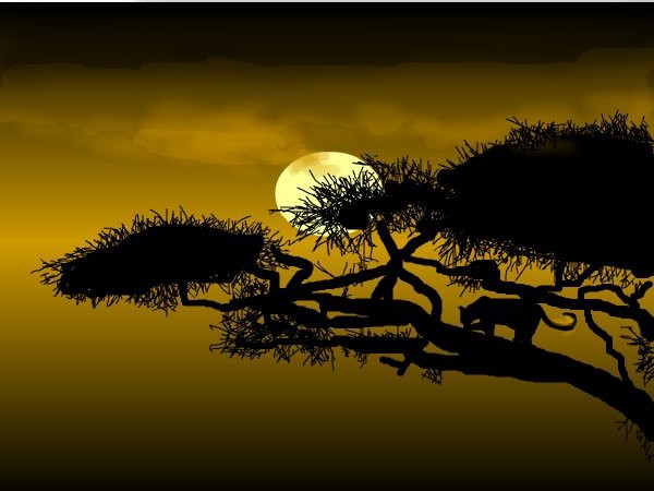 evening-solitude