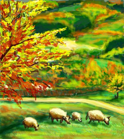 landscape