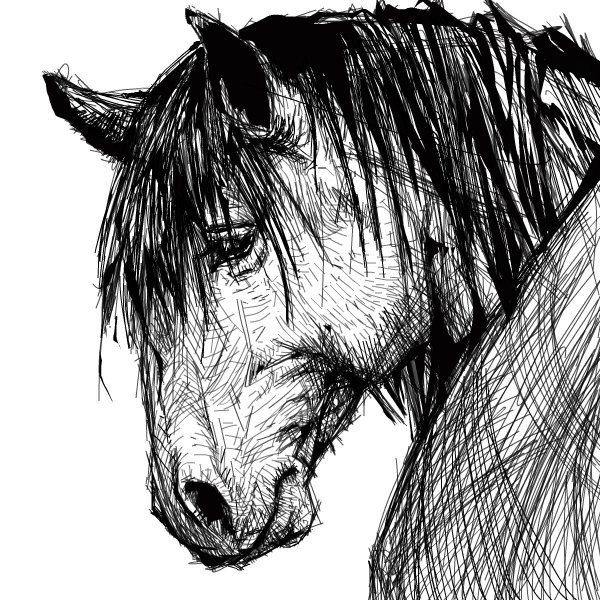 horse