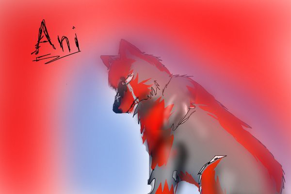 ani