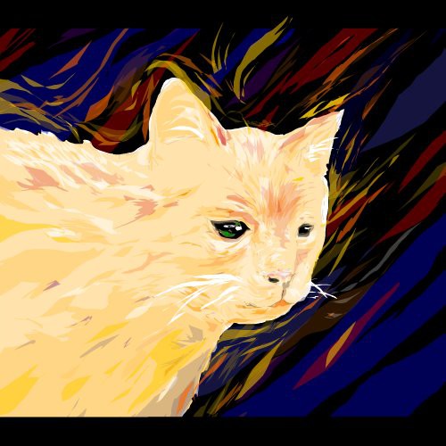 cat