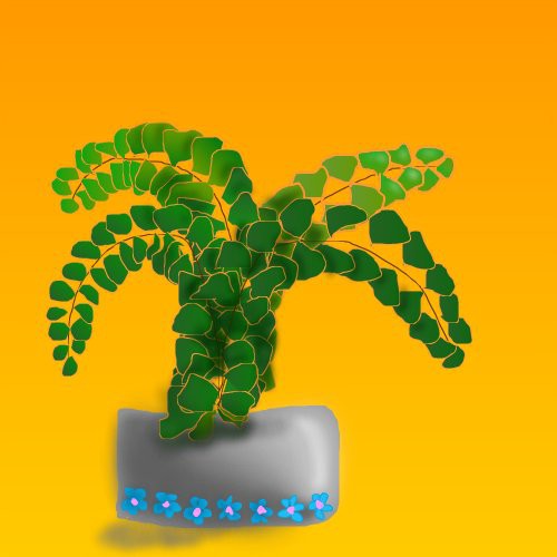 maidenhair