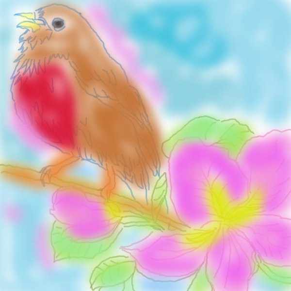 clour-the-birdy