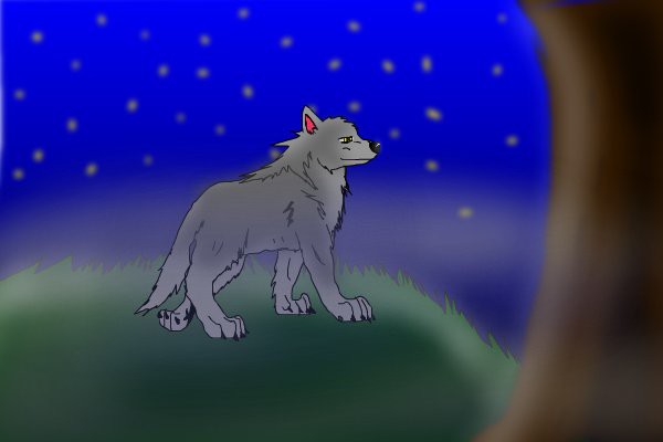 a-wolf-in-the-fog