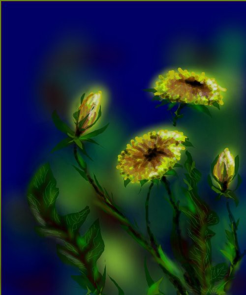 spring