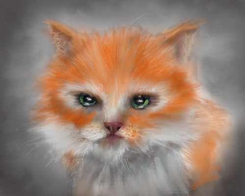 carrot