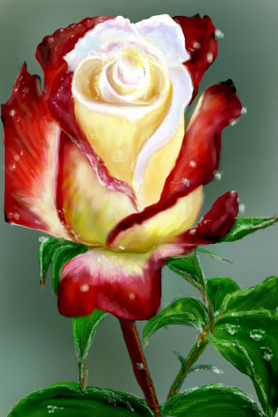 just-for-you