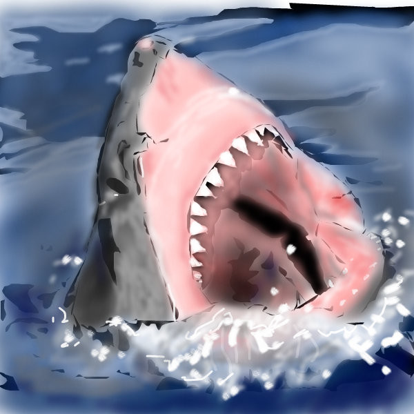 shark-oh