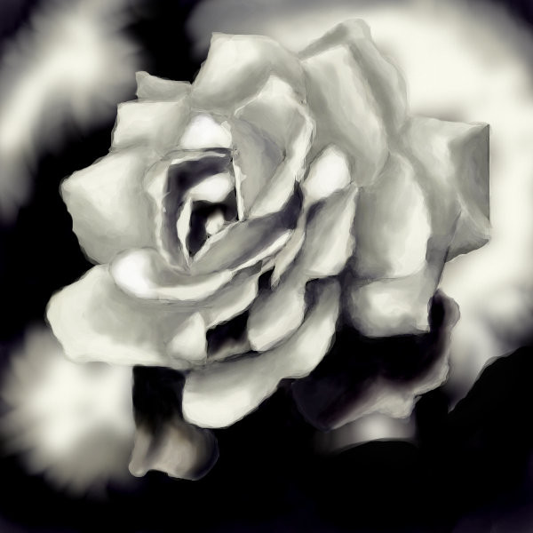 a-rose