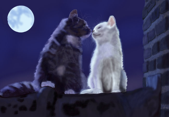 kittens