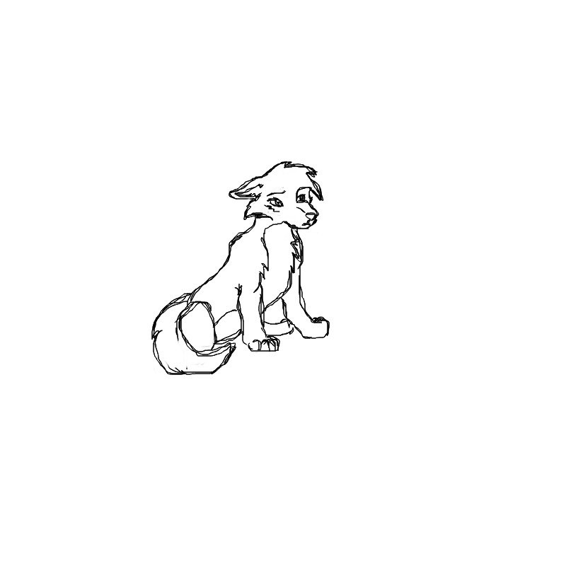 wolf-pup