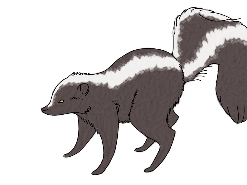 skunk-finished