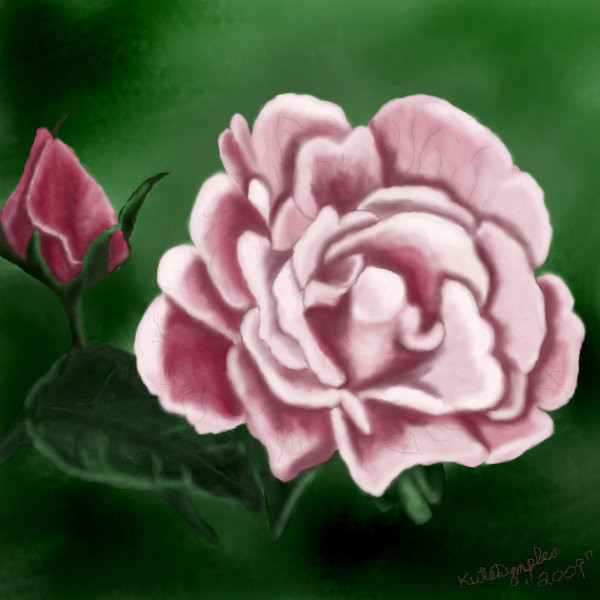 rose-colored-roses