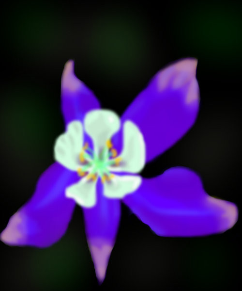 columbine