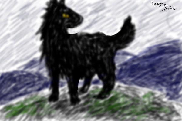 kuro-ookami-black-wolf