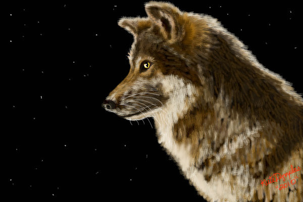 the-wolf
