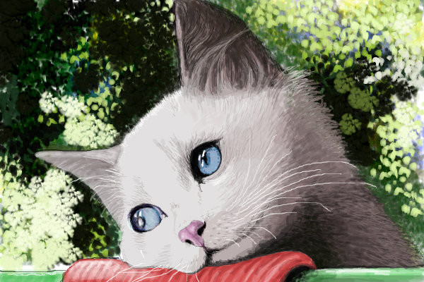 kitty