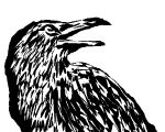 raven
