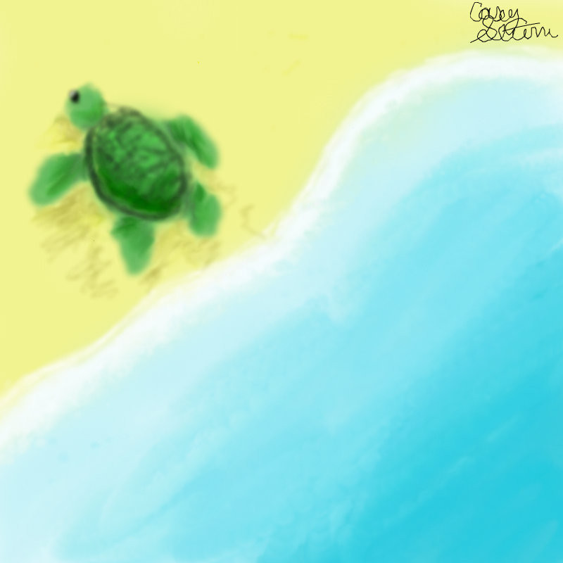 sea-turtle