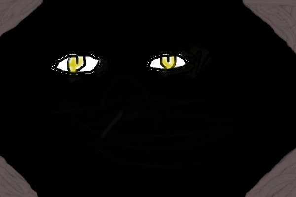 eyes-in-the-dark