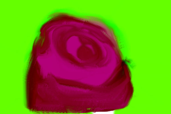 rose2