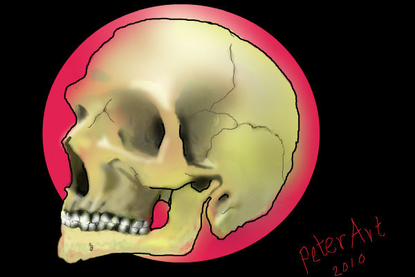skull