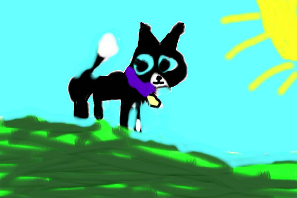 warrior-cats-scourge