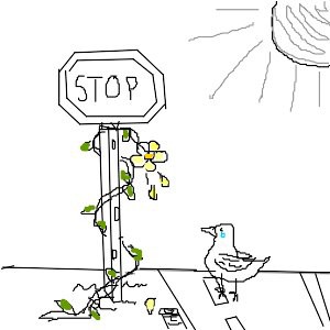 cryingduck