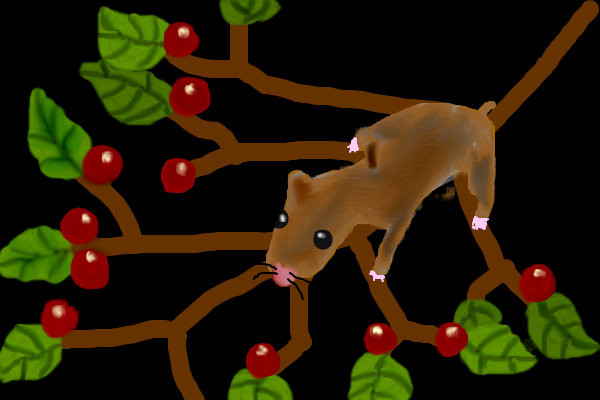 mouse-in-berry-bush