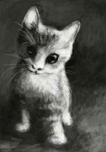 pisi