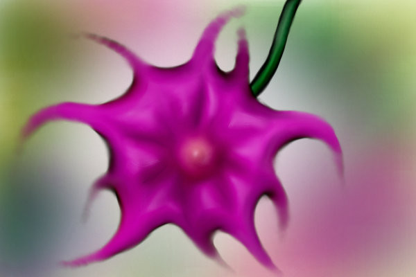 fantasy-flower3