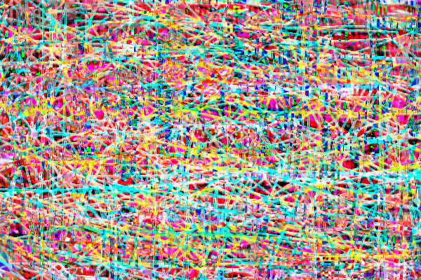 spider-web