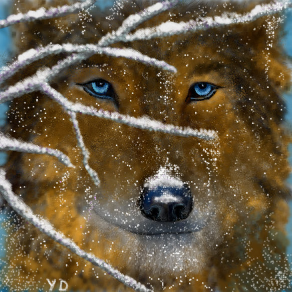 snow